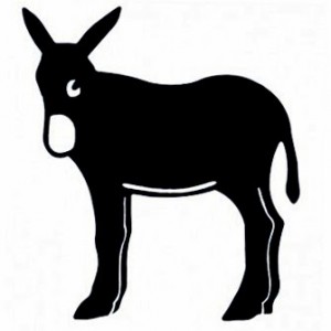 burro-catala